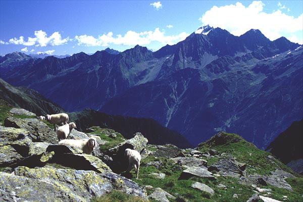 rundtour_stubai_04