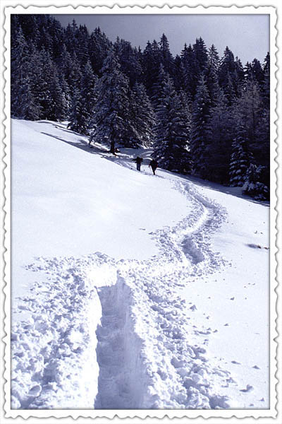 vorderkaserfelden_06