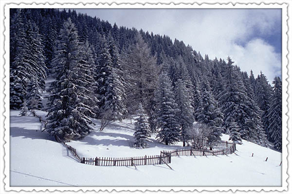 vorderkaserfelden_09