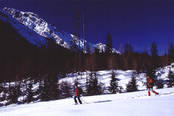archenk_02_10