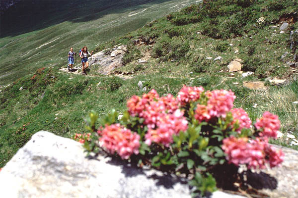 geraer_01_02