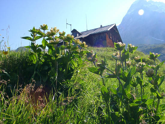 geraer_01_17