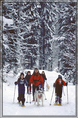 schildenstein_01