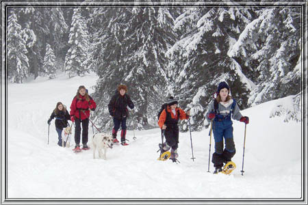 schildenstein_02