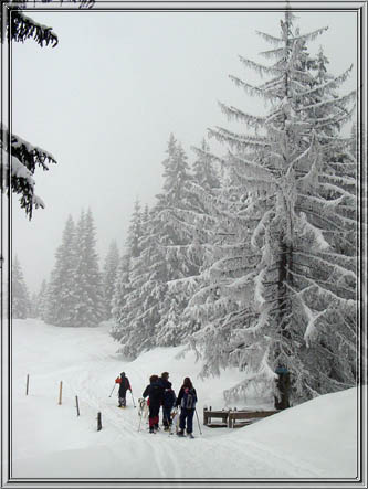 schildenstein_05