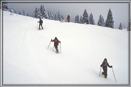 schildenstein_08