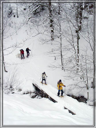 schildenstein_13