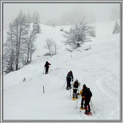 schildenstein_15