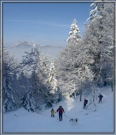 schildenstein_19