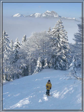 schildenstein_20