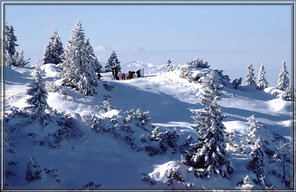 schildenstein_28
