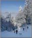 schildenstein_19