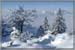 schildenstein_23
