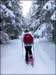 050116_dreisessel_01