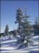 050116_dreisessel_09