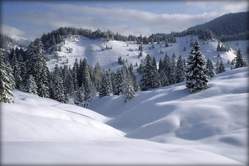 050129_schildenst_08