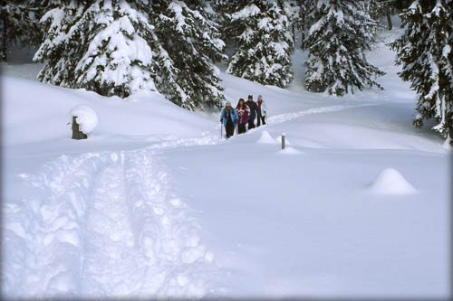 050129_schildenst_09