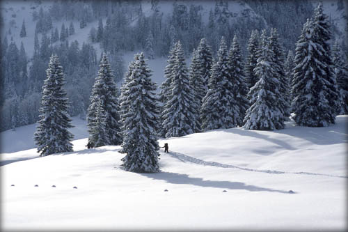 050129_schildenst_11