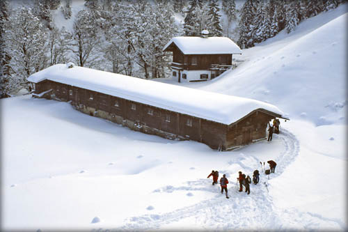050129_schildenst_13