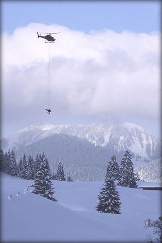 050129_schildenst_26