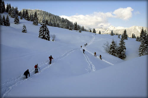 050129_schildenst_29