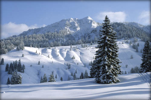 050129_schildenst_31