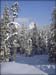 050129_schildenst_04