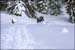 050129_schildenst_09