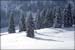 050129_schildenst_11