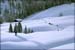 050129_schildenst_12