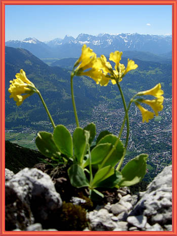 050627_kramer_23