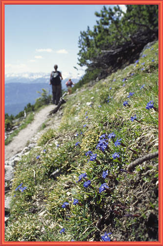 050627_kramer_54