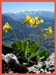 050627_kramer_23