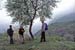 051031_mt_castello_11
