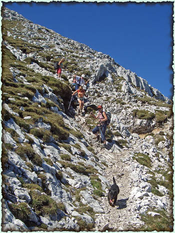 060909_guffert_61