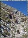 060909_guffert_61