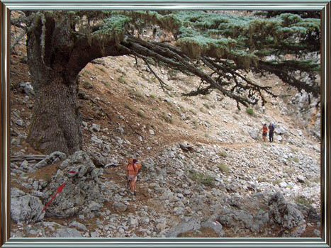 071031_tuerkei_24