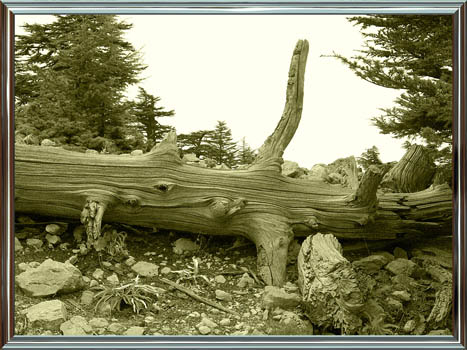 071031_tuerkei_27