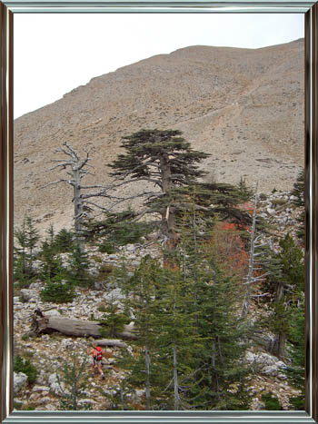 071031_tuerkei_35
