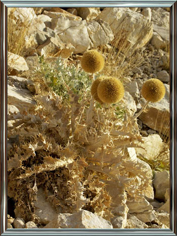 071031_tuerkei_63