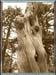 071031_tuerkei_26