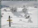 100307_kirchberg_45