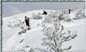 100307_kirchberg_49