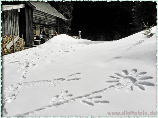 100305_hohe-bleick_11