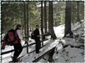 100305_hohe-bleick_04