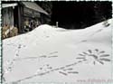 100305_hohe-bleick_11