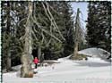 100305_hohe-bleick_43