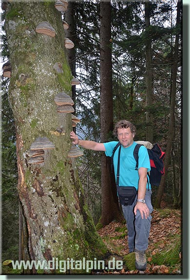 131101_hohe-kisten_053