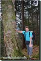 131101_hohe-kisten_053