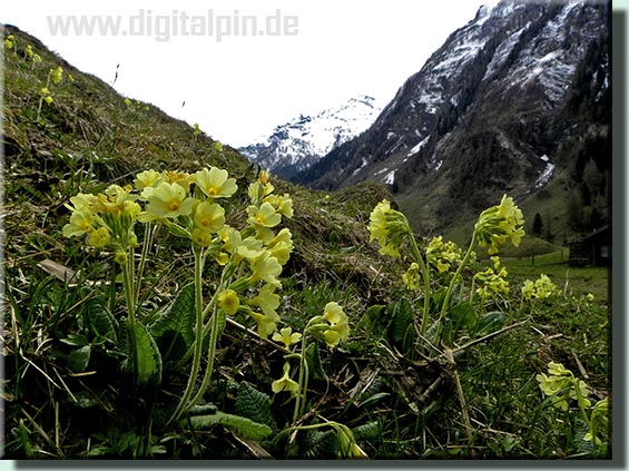 140418_sonnblick_0038